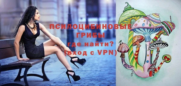 гашик Абинск